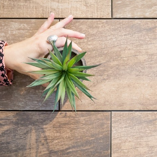 [70162] Revestimiento Alberdi Medley Beige Rectificado H5 20x60 (1ra Calidad)